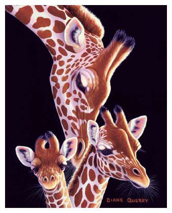 Giraffe 6